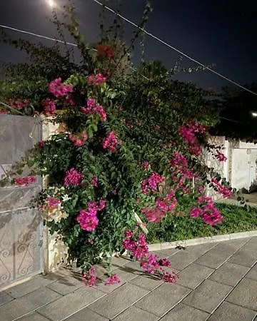 Marzamemi 200 M Dal Mare * 瑞塔尼
